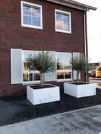 Grote Witte Plantenbakken voor buiten., Tuin en Terras, 100 cm of meer, X nvt, Nieuw, X nvt