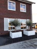 Moderne Plantenbakken, Tuin en Terras, Bloembakken en Plantenbakken, Nieuw, Rechthoekig, Ophalen of Verzenden, Metaal