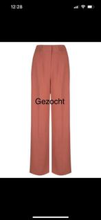 Broek Dante 6 GEZOCHT!, Kleding | Dames, Ophalen of Verzenden, Zo goed als nieuw, Maat 34 (XS) of kleiner