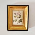 vintage schilderijtje roos op zijde in lijst, Antiek en Kunst, Ophalen of Verzenden