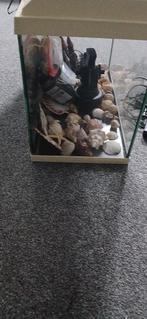 Aquarium met een filter en alles wat er in de aquarium zit, Dieren en Toebehoren, Vissen | Aquaria en Toebehoren, Ophalen, Zo goed als nieuw