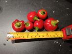 Zaden Peppadew (gevulde) peper, Sweet piquanté pepper, Verzenden, Voorjaar, Volle zon, Zaad