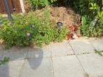 afvoeren grond, Tuin en Terras, Zand, Ophalen