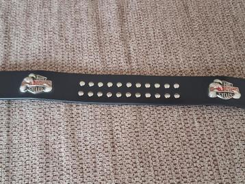 Riem Harley davidson  beschikbaar voor biedingen