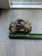 Aquarium decoratie boomstammetje, Dieren en Toebehoren, Ophalen of Verzenden, Zo goed als nieuw, Sierelement