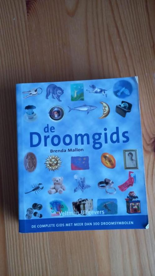 De Droomgids, Boeken, Esoterie en Spiritualiteit, Achtergrond en Informatie, Ophalen of Verzenden