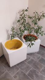 Plantenbakken binnen/buiten, Ophalen, Tuin, Gebruikt, Minder dan 60 cm