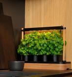 AUK mini Slimme indoor moestuin voor kruiden en groenten, Ophalen, Gebruikt