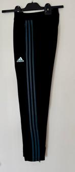 Ajax Adidas trainingsbroek | 12J, Adidas, Jongen of Meisje, Zo goed als nieuw, Ophalen
