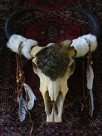 Skull van polystone met een wolf, Ophalen of Verzenden, Nieuw, Dier