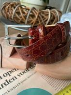 Riem van origineel Krokodil-leder 104.5 exclusief gesp x4cm, Ophalen of Verzenden, Nieuw, Bruin, 105 tot 115 cm