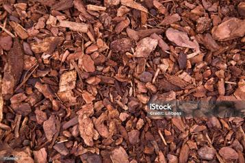 boomschors beschikbaar voor biedingen