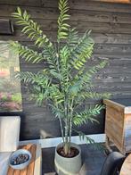 Een grote kunstplant, Ophalen