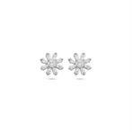 Zirkonia Bloem oorbellen zilver - GRATIS verzending!, Nieuw, Ophalen of Verzenden, Knopjes of Stekers, Zilver