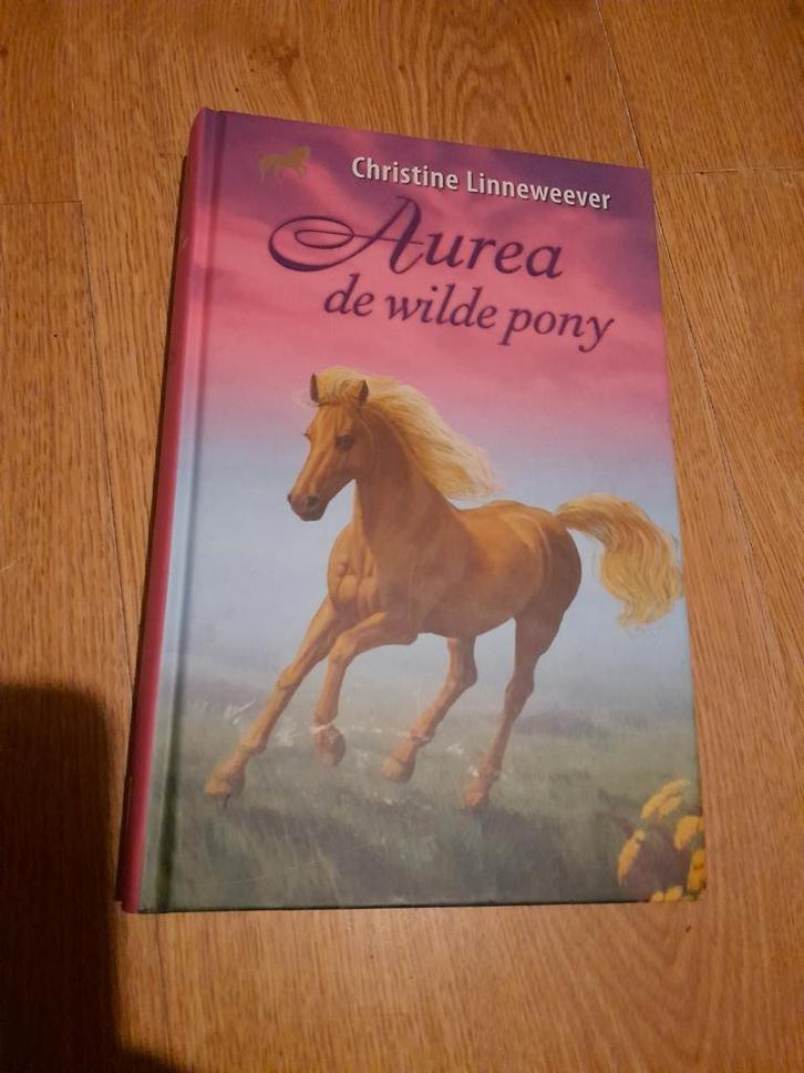 Christine Linneweever -, Boeken, Kinderboeken | Jeugd | 10 tot 12 jaar, Zo goed als nieuw, Ophalen of Verzenden