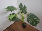 Monstera kunstplant ophalen Amsterdam Zuid Oost, Ophalen, Gebruikt