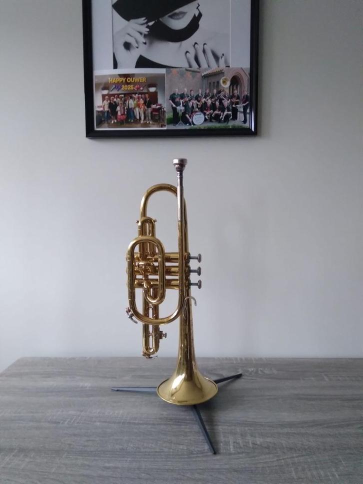 Trompet te koop, Muziek en Instrumenten, Blaasinstrumenten | Trompetten, Gebruikt, Ophalen of Verzenden