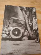 Alphons Hustinx Hollandse Beelden, Verzenden, Gelezen, Fotografen