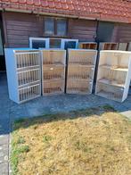 Te koop broedbakken, Dieren en Toebehoren, Vogels | Duiven