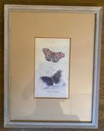 Set van 3 verschillende ingelijste afbeeldingen van vlinders, Minder dan 50 cm, Print, Minder dan 50 cm, Ophalen of Verzenden