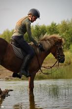 bijrijder aangeboden, Ophalen of Verzenden, Zo goed als nieuw