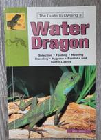 Water Dragon - Water Agaam, Ophalen of Verzenden, Zo goed als nieuw, Reptielen of Amfibieën