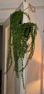 Kunstplanten hangend 2x, Ophalen of Verzenden