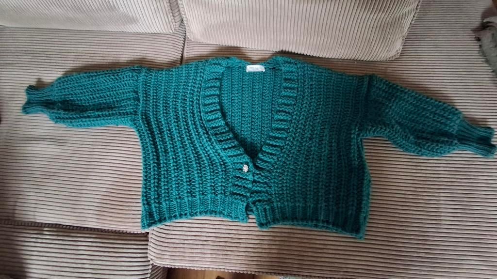 Pom Amsterdam Grof Gebreid Vest - Maat 44 - Nieuw, Pom Amsterdam, Ophalen of Verzenden, Nieuw, Maat 42/44 (L)