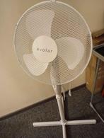 fan, Ophalen of Verzenden, Nieuw