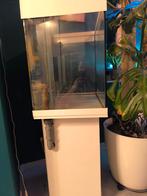 zeeaquarium lido 120 met schoorsteen + kast, Dieren en Toebehoren, Vissen | Aquaria en Toebehoren, Ophalen of Verzenden, Leeg aquarium