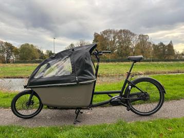 Dolly bakfiets (2022) beschikbaar voor biedingen
