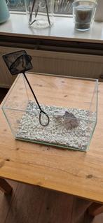 Vissenkom, Dieren en Toebehoren, Vissen | Aquaria en Toebehoren, Ophalen of Verzenden, Zo goed als nieuw, Leeg aquarium