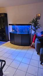 Aquarium 450 l juwel  led light, Dieren en Toebehoren, Ophalen of Verzenden, Zo goed als nieuw, Gevuld zoetwateraquarium