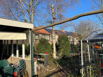 Harmonica schaduwdoek 3,4x6m - Gebroken wit beschikbaar voor biedingen