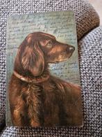 Teckel Hond, Ophalen of Verzenden, Voor 1920, Gelopen