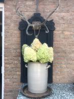 Grote Keulse pot, Ophalen