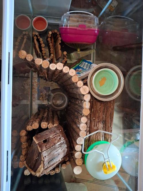 Hamster bak, Dieren en Toebehoren, Knaagdieren en Konijnen | Toebehoren, Zo goed als nieuw, Ophalen