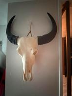 Zgan skull watwrbuffel echte, Ophalen of Verzenden, Zo goed als nieuw