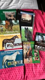 Paarden boeken, Ophalen of Verzenden, Gelezen, Paarden of Pony's