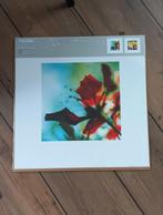 Ikea Tvilling posterset van 2, 50 tot 75 cm, Nieuw, Ophalen of Verzenden, Foto of Poster