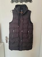 Zwarte Zara bodywarmer met capuchon, Kleding | Dames, Ophalen of Verzenden, Zo goed als nieuw, Maat 36 (S), Zara