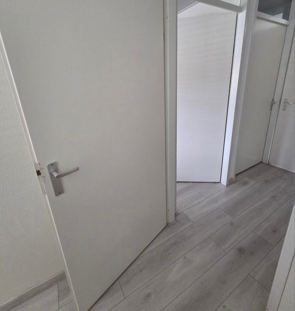 Binnendeur 3 stuks, Doe-het-zelf en Verbouw, Deuren en Horren, Ophalen