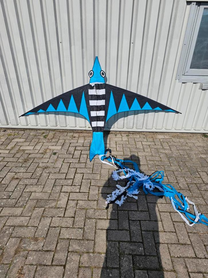 BLAUWE Vogel Vlieger - 300x160 cm, Sport en Fitness, Vliegeren, Gebruikt, Vlieger, Eenlijns, Ophalen of Verzenden