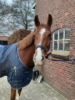 Stalling gezocht, Stalling