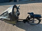 Elektrische Dolly Bakfiets met regenkap, Gebruikt, Huif, 2 kinderen, Ophalen