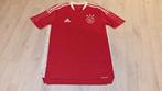Ajax Training Shirt! Seizoen 21/22! Mt M & L!, Maat 52/54 (L), Ophalen of Verzenden, Zo goed als nieuw, Voetbal