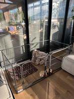 Puppyren van Maxxpett, Hondenkennel, 110 cm of meer, Minder dan 65 cm, Ophalen of Verzenden