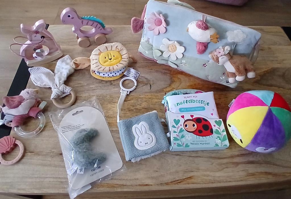 Baby/dreumes speelgoed set, Kinderen en Baby's, Ophalen of Verzenden, Zo goed als nieuw