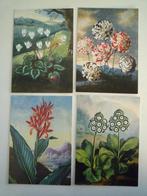 4 kunstkaarten met bloemen oa cyclaam, Ophalen of Verzenden, 1980 tot heden, Overige thema's