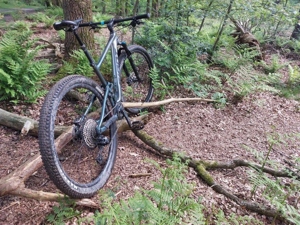 Te koop: Giant Anthem 29er Full suspension Mountainbike, Ophalen, Gebruikt, Overige merken